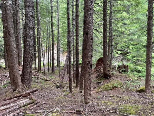 $330,000 | Champion Creek Road, Dorena, OR 97434