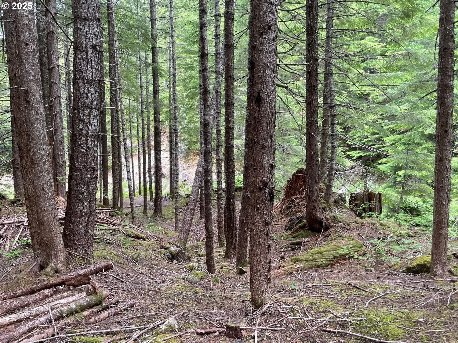 Champion Creek Road Dorena, OR 97434 - Photo 12 of 27