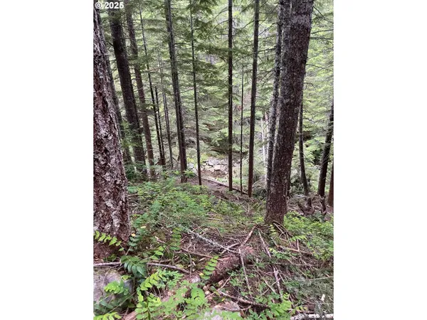 $330,000 | Champion Creek Road, Dorena, OR 97434