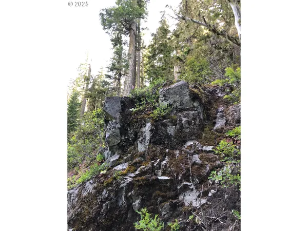 $330,000 | Champion Creek Road, Dorena, OR 97434