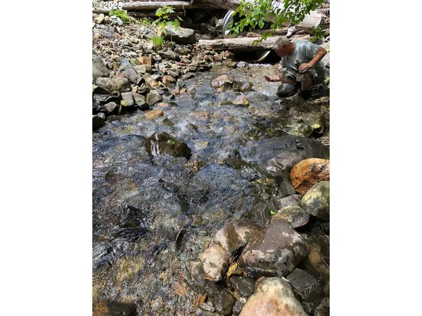 $330,000 | Champion Creek Road, Dorena, OR 97434