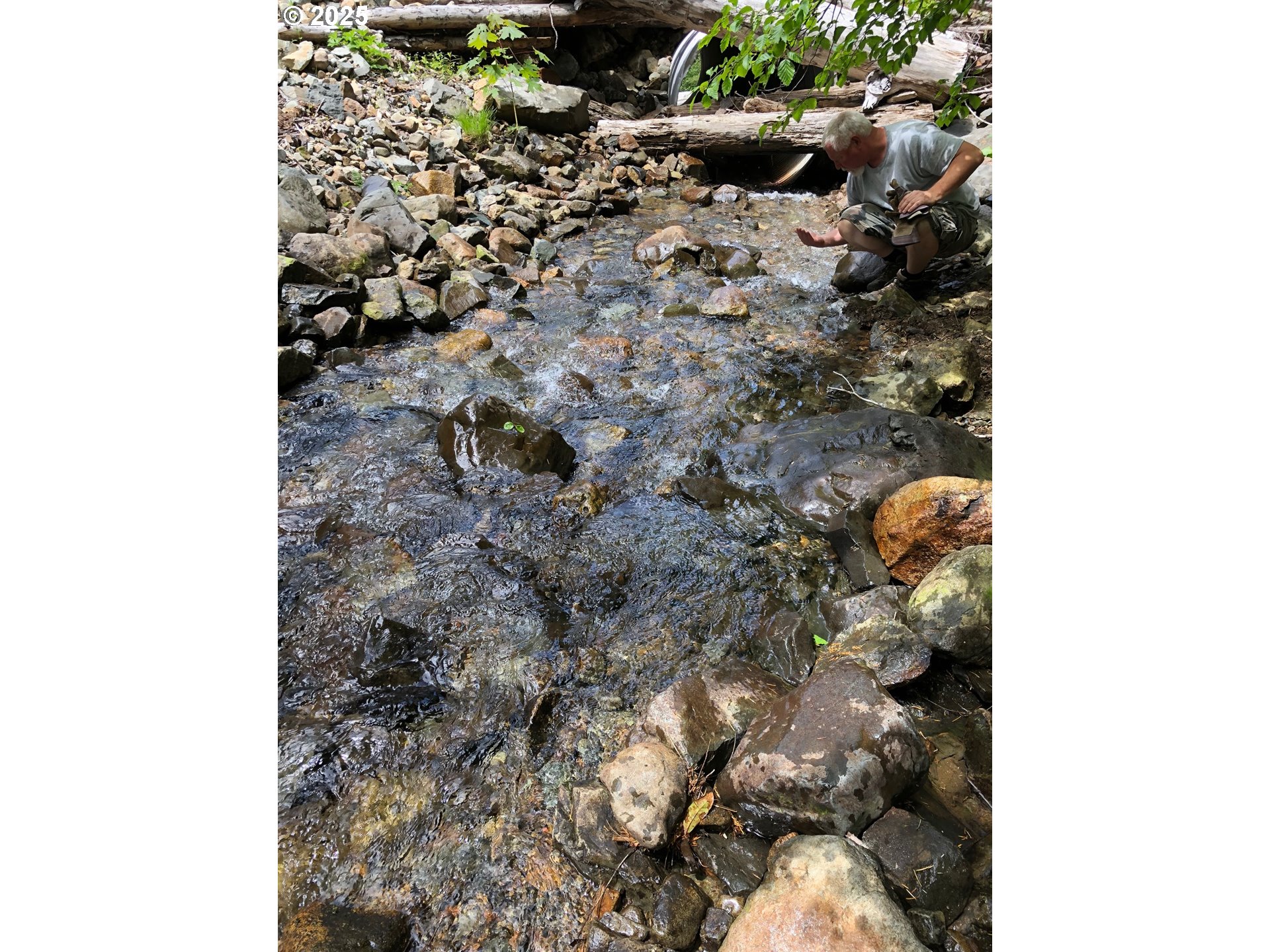 Champion Creek Road Dorena, OR 97434 - Photo 16 of 27
