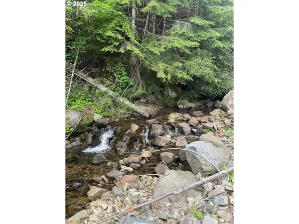 $330,000 | Champion Creek Road, Dorena, OR 97434