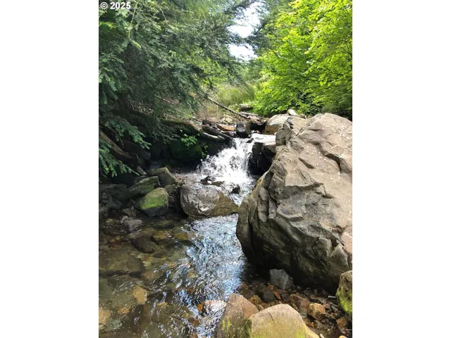 a plant that is in a field