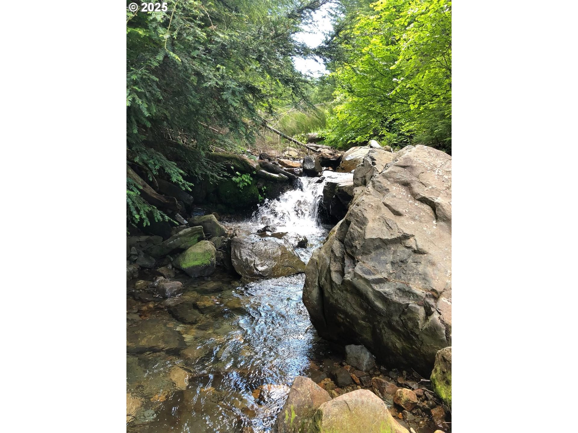 Champion Creek Road Dorena, OR 97434 - Photo 18 of 27