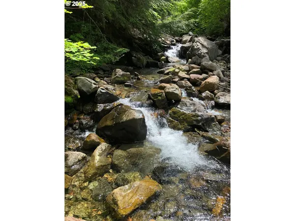 $330,000 | Champion Creek Road, Dorena, OR 97434