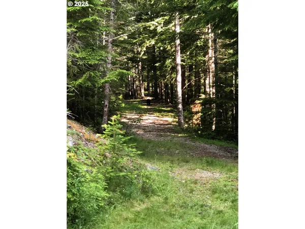 $330,000 | Champion Creek Road, Dorena, OR 97434