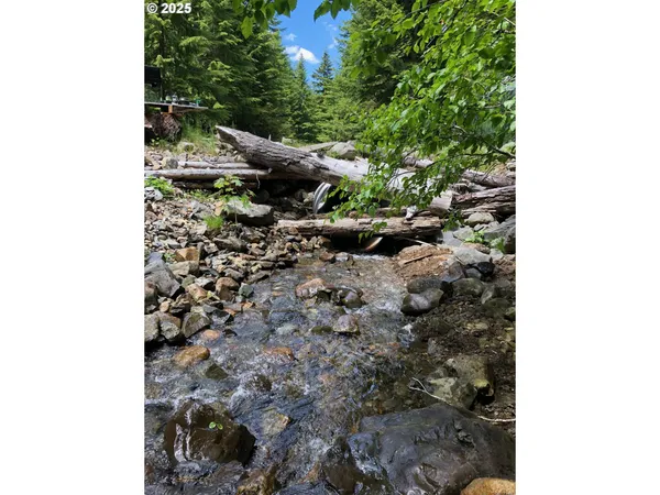 $330,000 | Champion Creek Road, Dorena, OR 97434