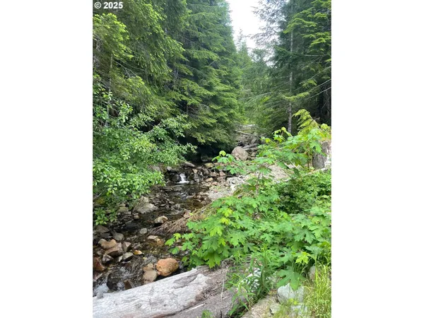 $330,000 | Champion Creek Road, Dorena, OR 97434