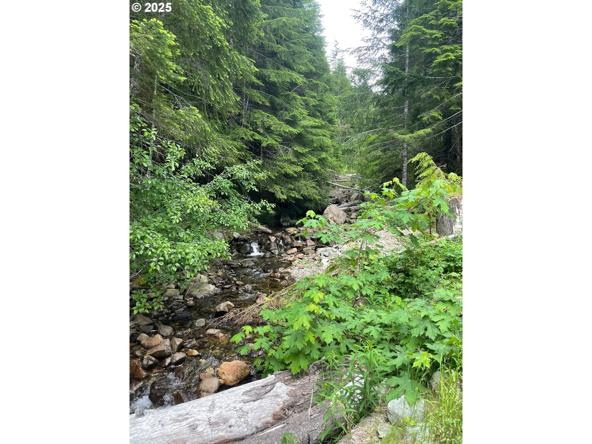 Champion Creek Road Dorena, OR 97434 - Photo 23 of 27