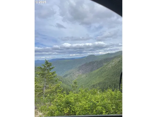 $330,000 | Champion Creek Road, Dorena, OR 97434