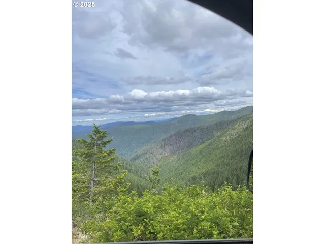 $330,000 | Champion Creek Road, Dorena, OR 97434