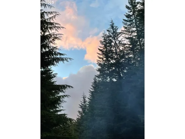 $330,000 | Champion Creek Road, Dorena, OR 97434