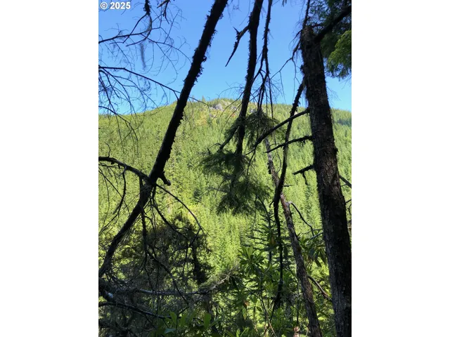 $330,000 | Champion Creek Road, Dorena, OR 97434