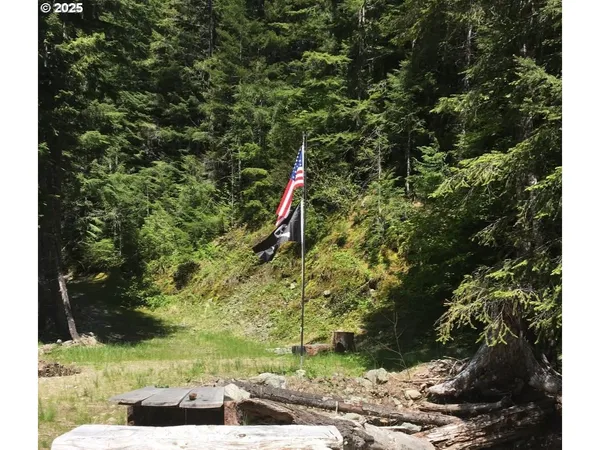 $330,000 | Champion Creek Road, Dorena, OR 97434