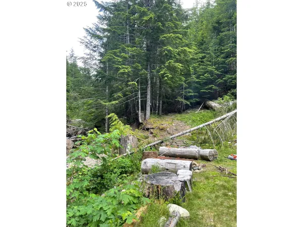 $330,000 | Champion Creek Road, Dorena, OR 97434