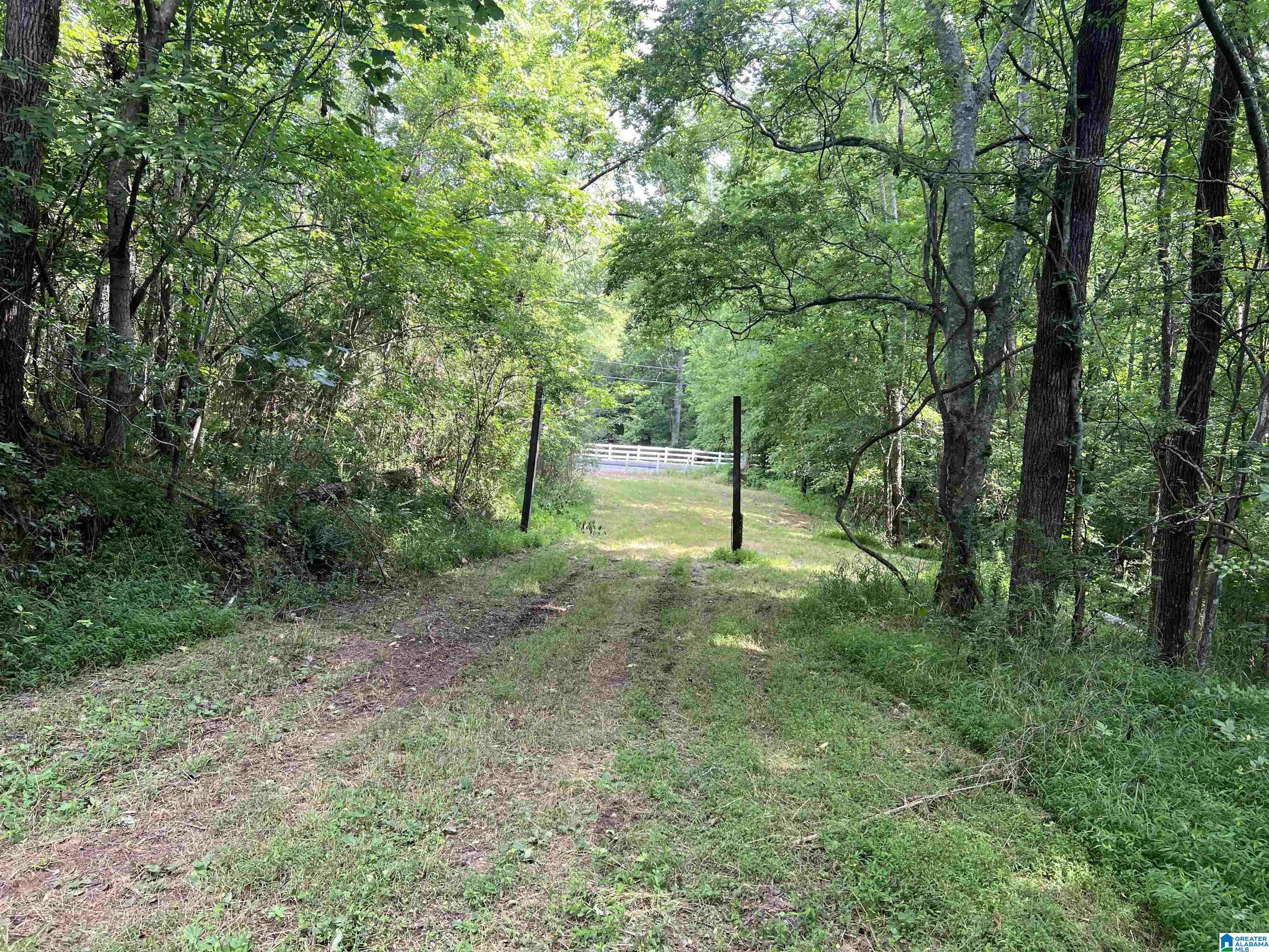 8455 Clayton Road Trussville, AL 35173 - Photo 4 of 65