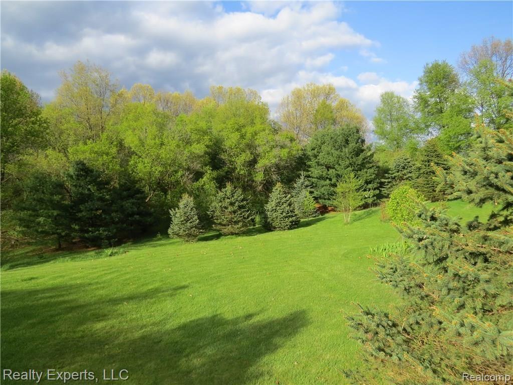 4115 Pingree Road Howell, MI 48843 - Photo 24 of 24 back yard.JPG