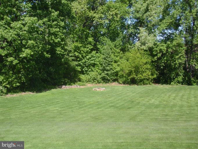 9348 Cabbage Run Road Frederick, MD 21701 - Photo 10 of 27 Back yard