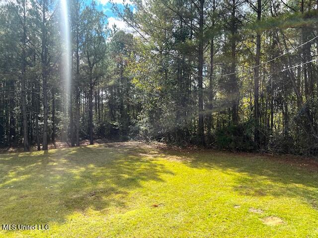 14151 Highway 35 Kosciusko, MS 39090 - Photo 3 of 32 Yard