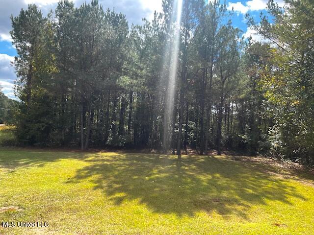 14151 Highway 35 Kosciusko, MS 39090 - Photo 4 of 32 Yard