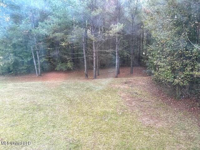 14151 Highway 35 Kosciusko, MS 39090 - Photo 5 of 32 Yard