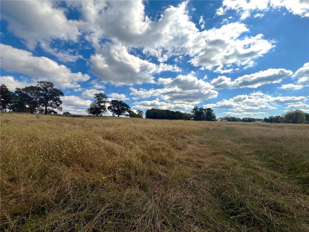 1535 Hunts Gin Road Northeast Calhoun, GA 30701 - Photo 12 of 13