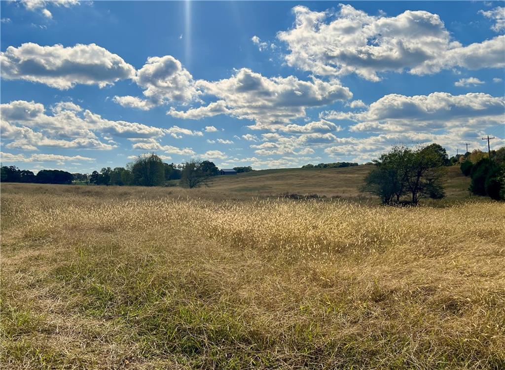 1535 Hunts Gin Road Northeast Calhoun, GA 30701 - Photo 3 of 13 a view of a lake view