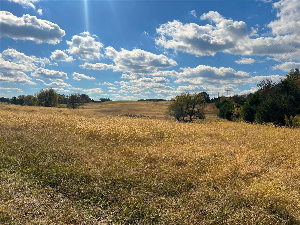 1535 Hunts Gin Road Northeast Calhoun, GA 30701 - Photo 9 of 13 a view of a yard in front of the house