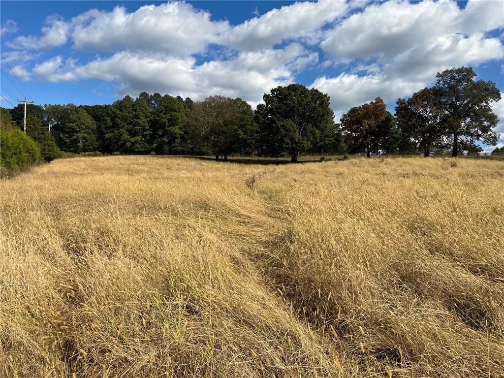 1535 Hunts Gin Road Northeast Calhoun, GA 30701 - Photo 10 of 13 a view of outdoor space and a yard