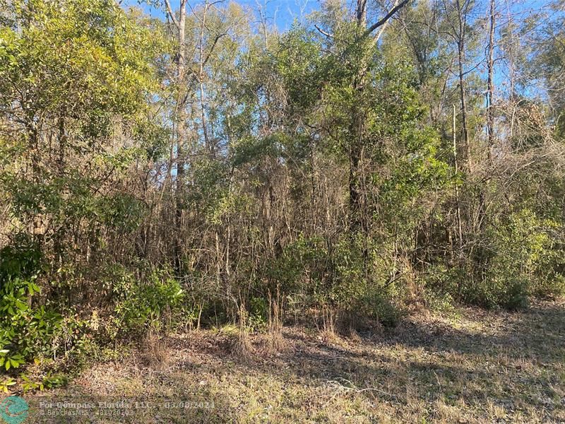 0 Southwest Loncala Loop