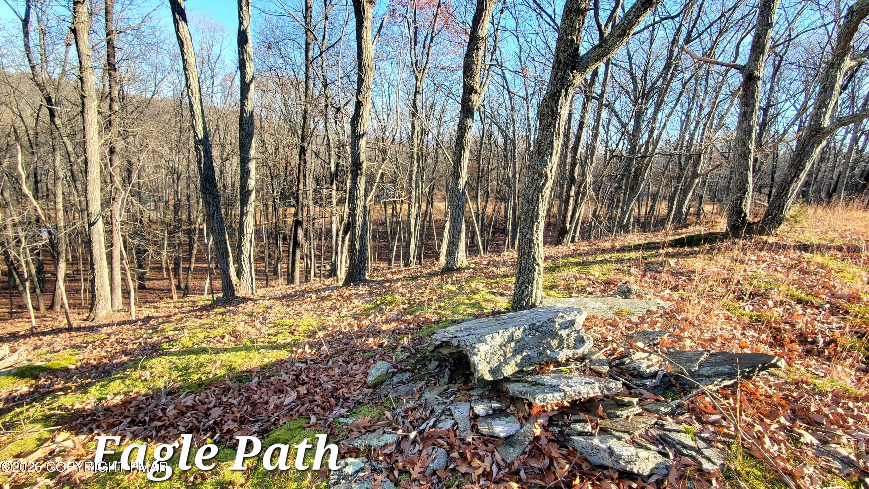 193-lot Eagle Path Bushkill, PA 18324 - Photo 6 of 7 20231125_141342