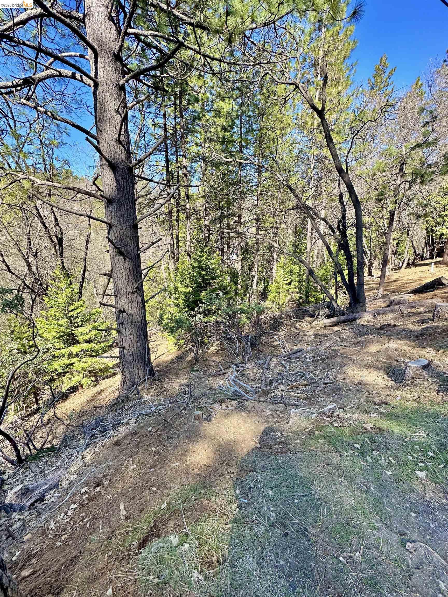 23956 Stable Road Sonora, CA 95370 - Photo 9 of 13 Gallery Image 9