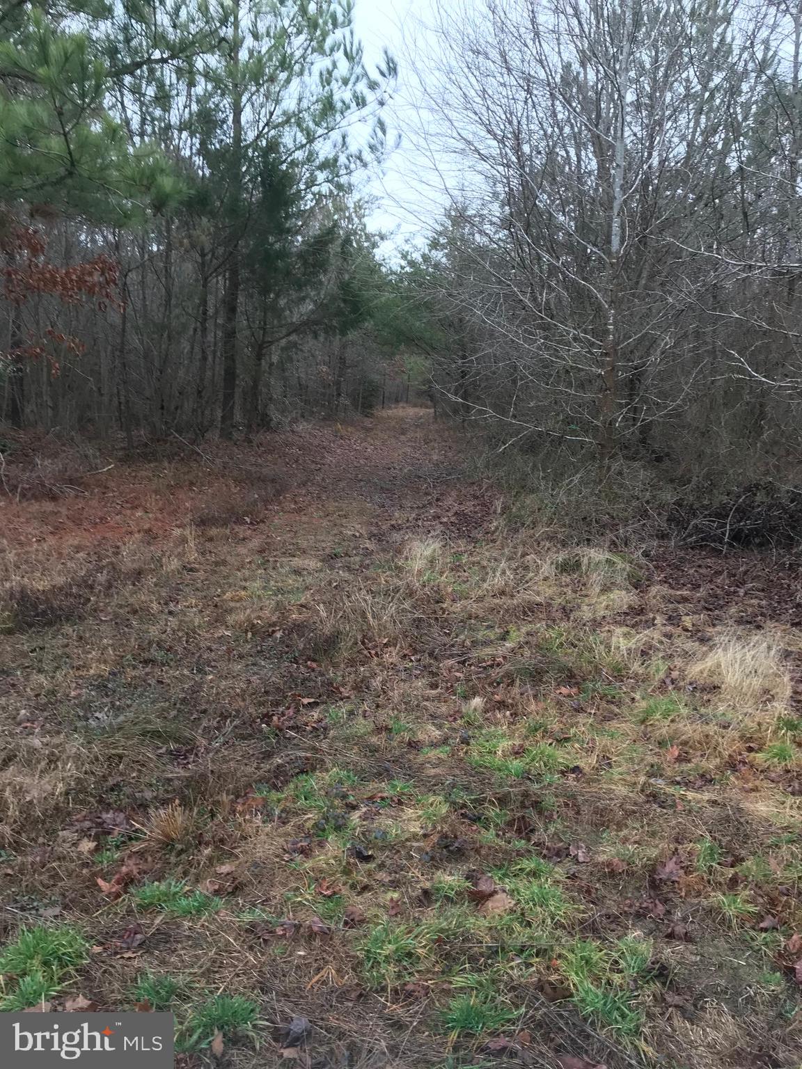 Foxhall Road Colonial Beach, VA 22443 - Photo 6 of 6 Gallery Image 6