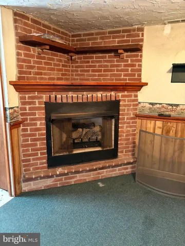 a closeup of a fireplace with a stove
