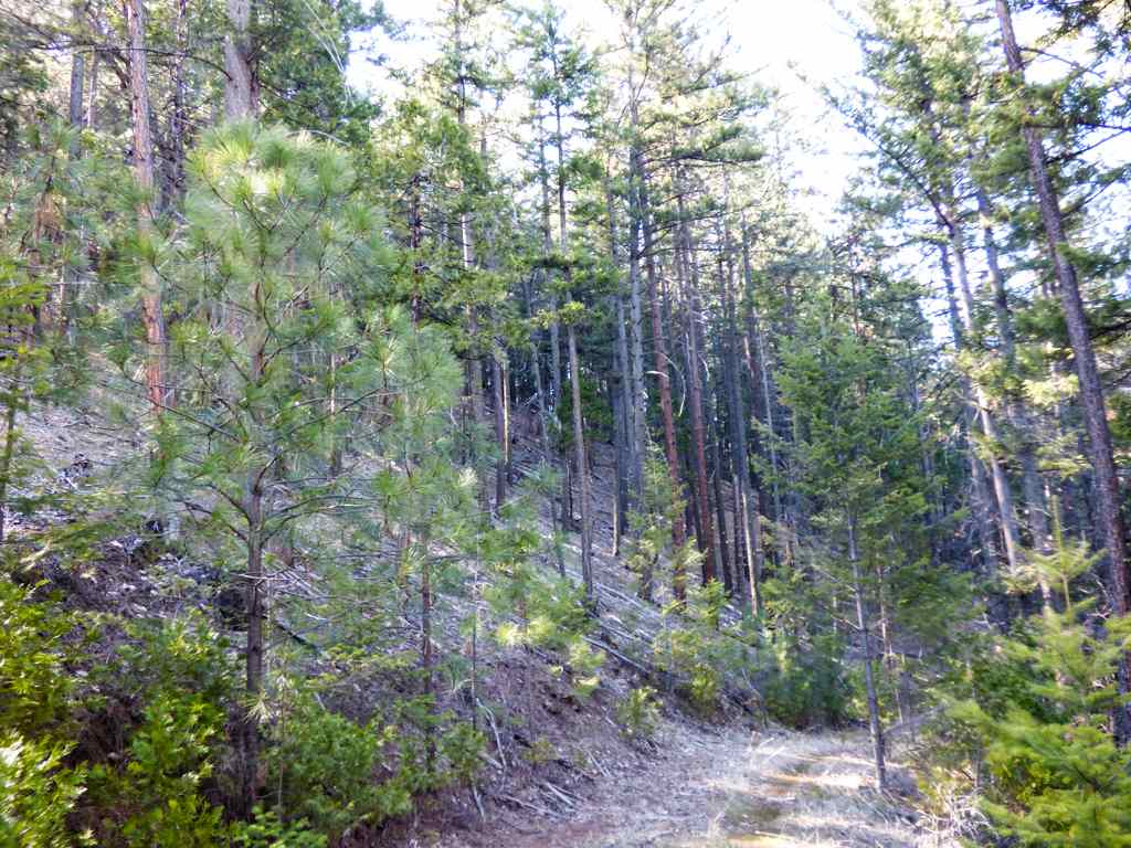 0 Greenhorn Road Yreka, CA 96097 - Photo 17 of 17 Gallery Image 17