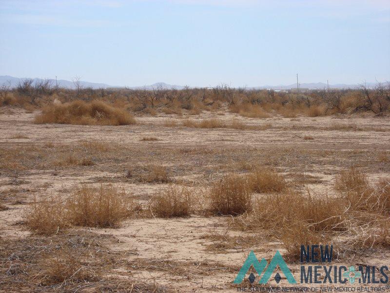 0 Paraguay Road Deming, NM 88030 - Photo 1 of 1