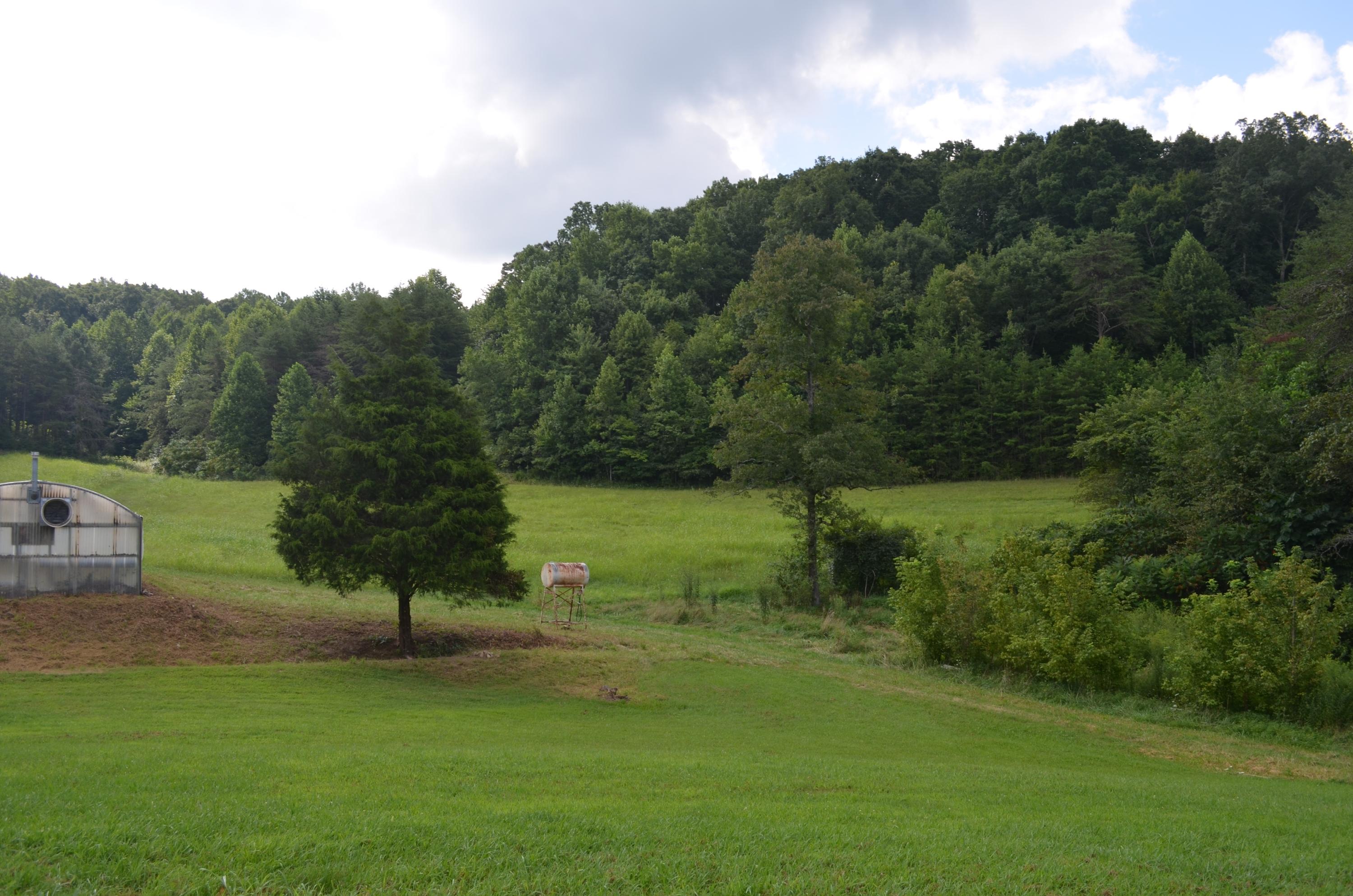 327 Pattie Gap Road Philadelphia, TN 37846 - Photo 6 of 15 Field