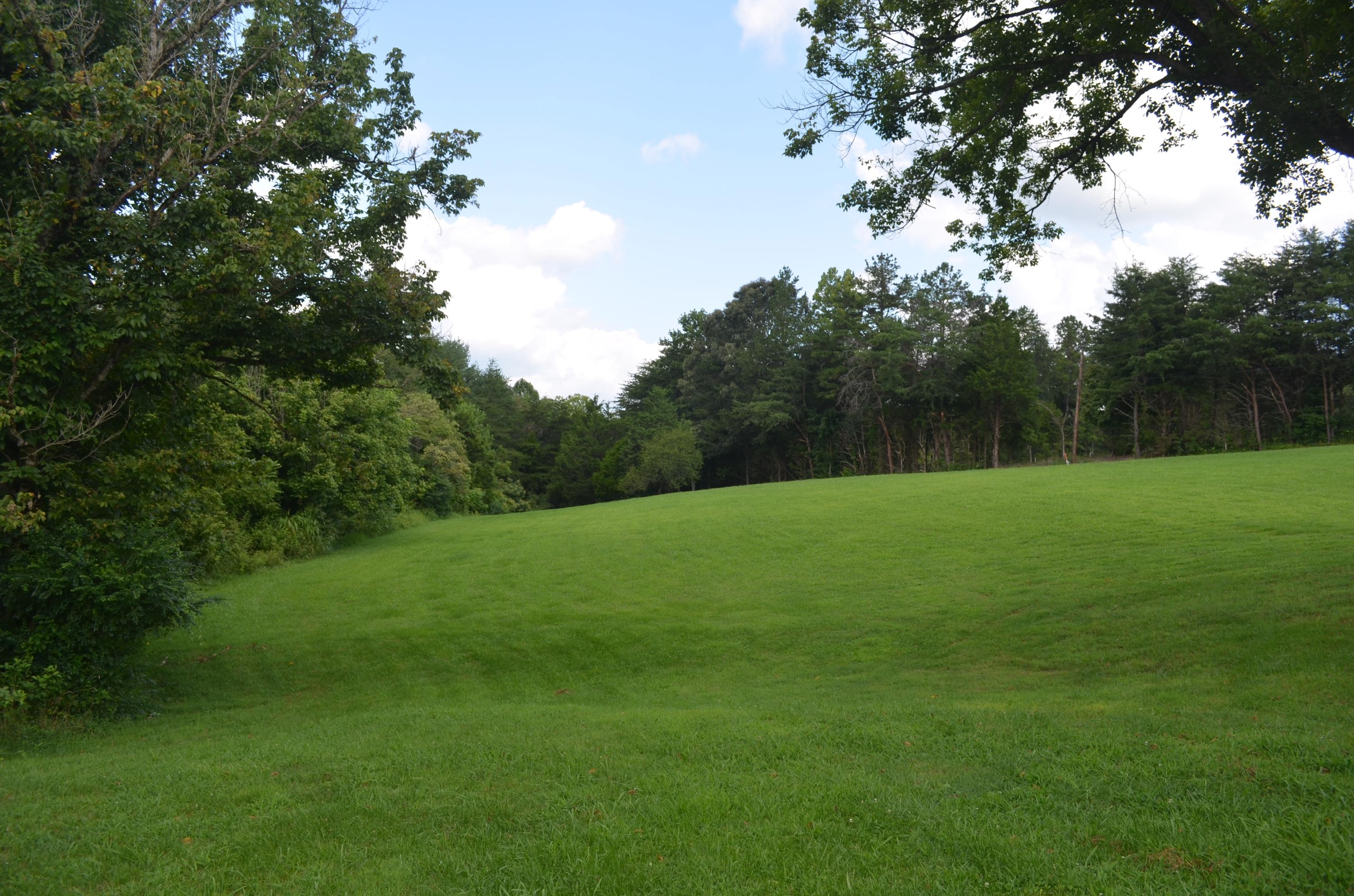 327 Pattie Gap Road Philadelphia, TN 37846 - Photo 7 of 15 Field 2