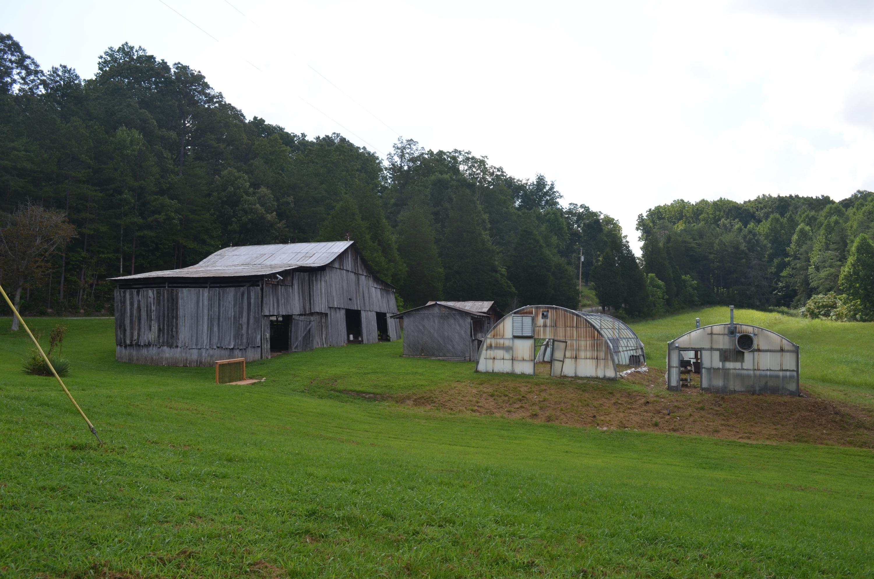 327 Pattie Gap Road Philadelphia, TN 37846 - Photo 9 of 15 Barns and Green houses