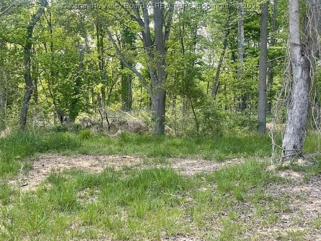 0 Rt 62 Road Millwood, WV 25262 - Photo 10 of 13 Gallery Image 10