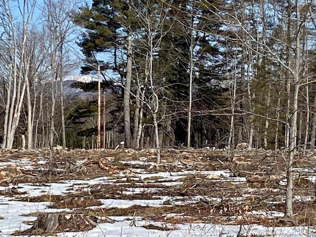 0 Mudgett Road Parsonsfield, ME 04047 - Photo 8 of 9 IMG_1571