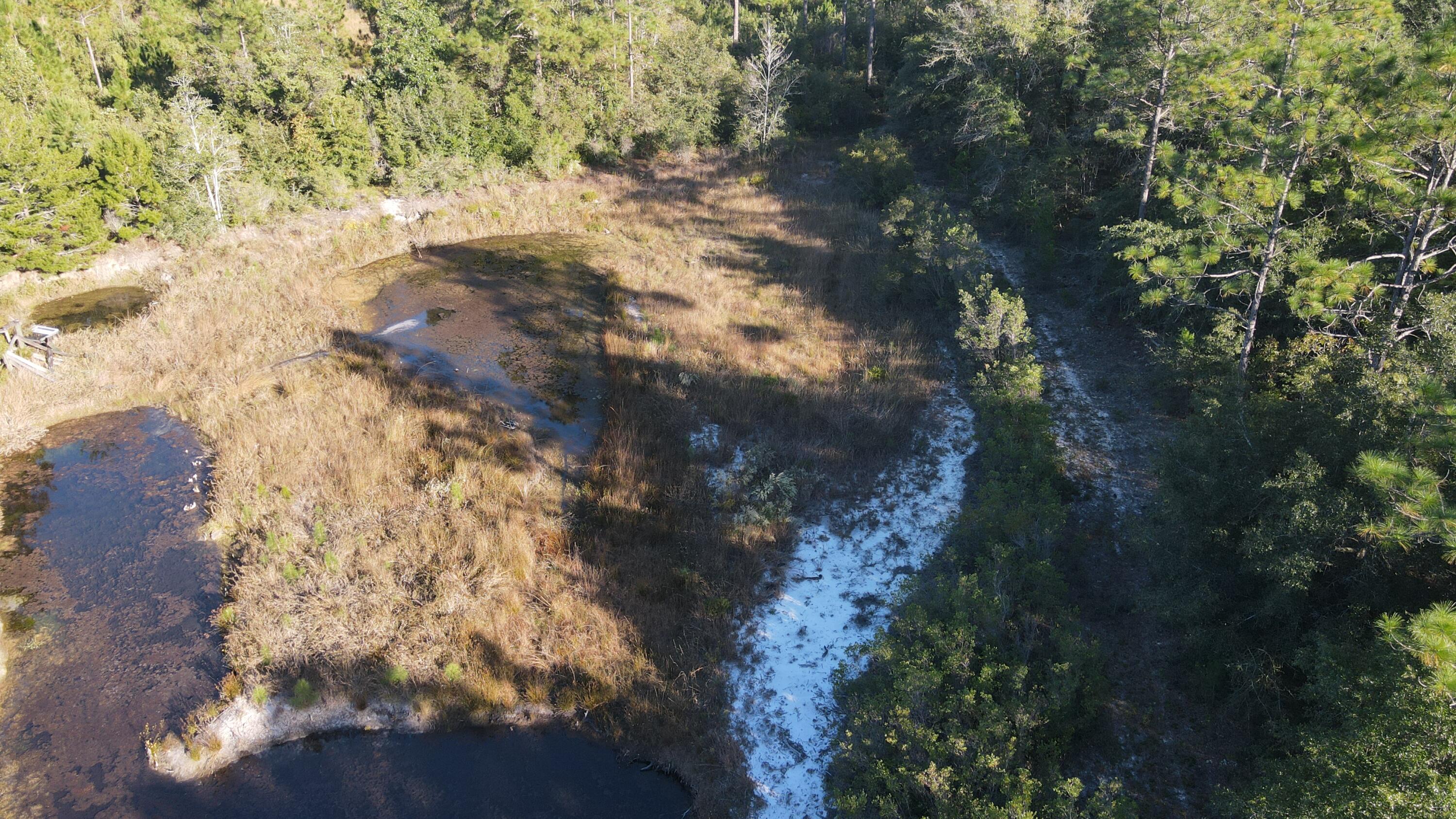 Tba Linda Lane DeFuniak Springs, FL 32433 - Photo 6 of 10 a view of a tree