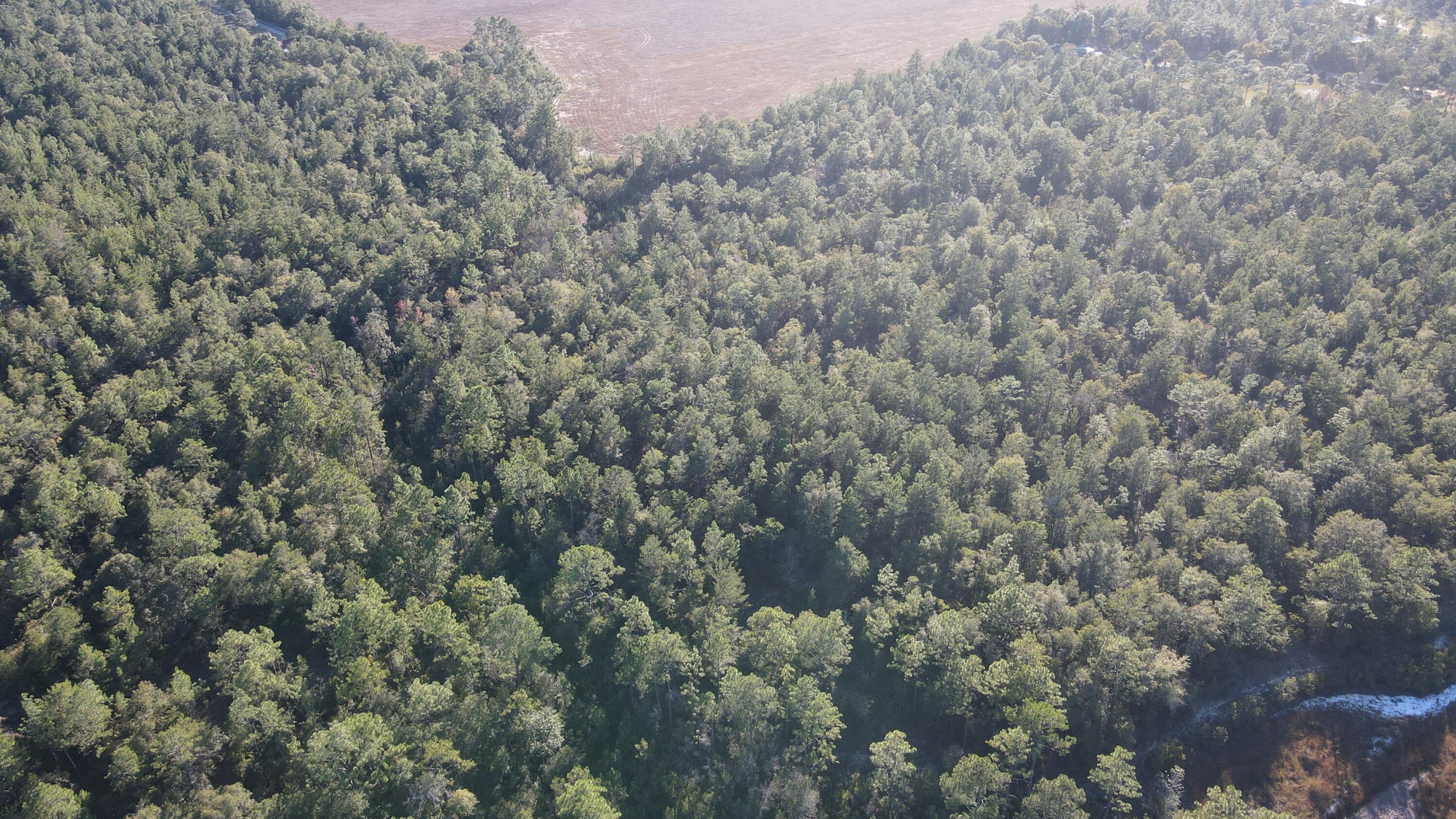 Tba Linda Lane DeFuniak Springs, FL 32433 - Photo 7 of 10