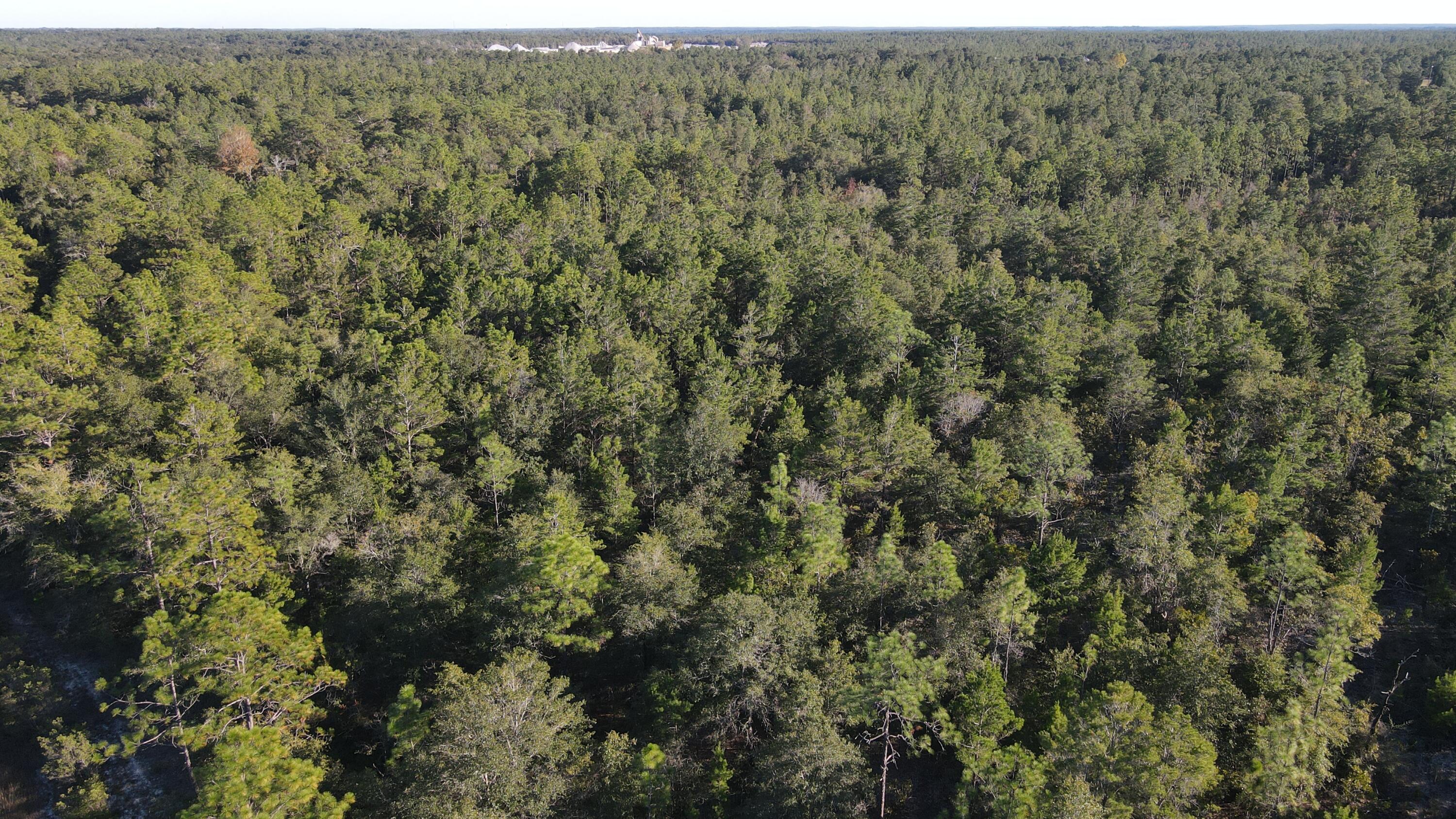 Tba Linda Lane DeFuniak Springs, FL 32433 - Photo 9 of 10 an aerial view of forest