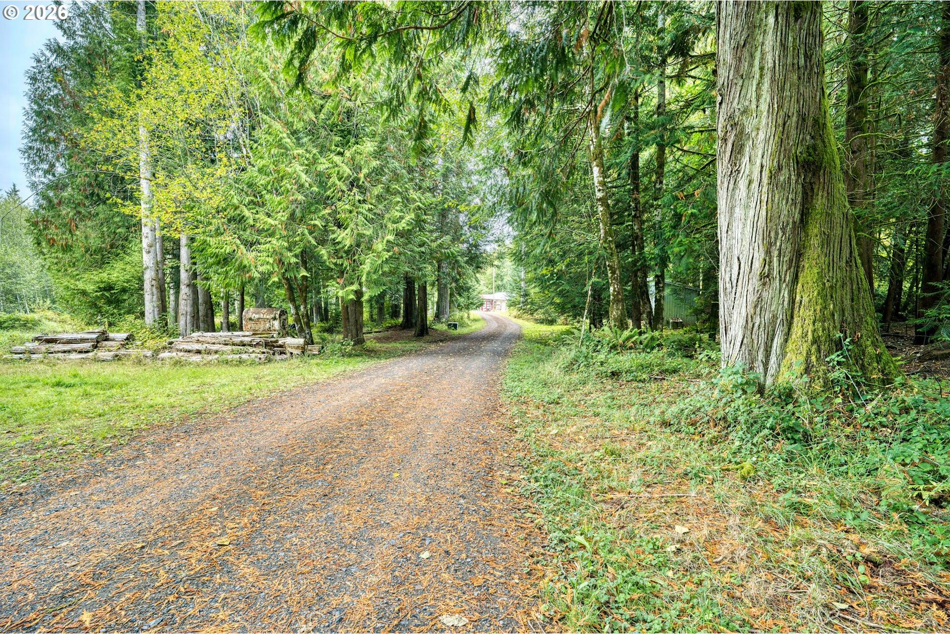 76960 Emill Road Rainier, OR 97048 - Photo 10 of 38 Gallery Image 10