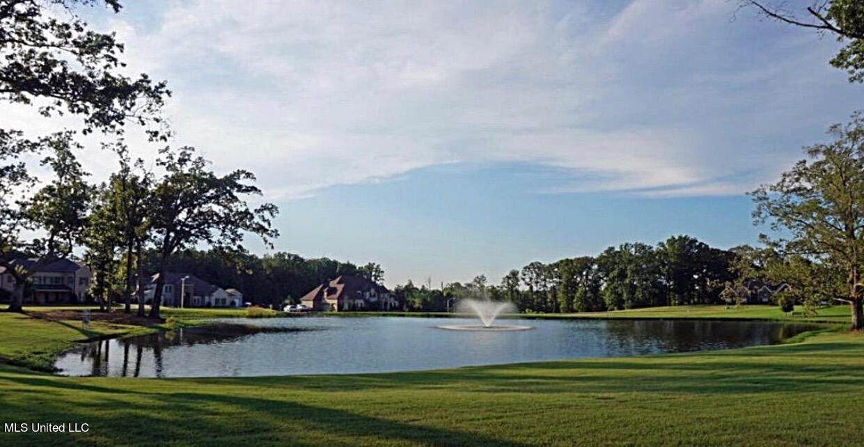 8055 Old Addison Drive Olive Branch, MS 38654 - Photo 5 of 6 IMG_9106