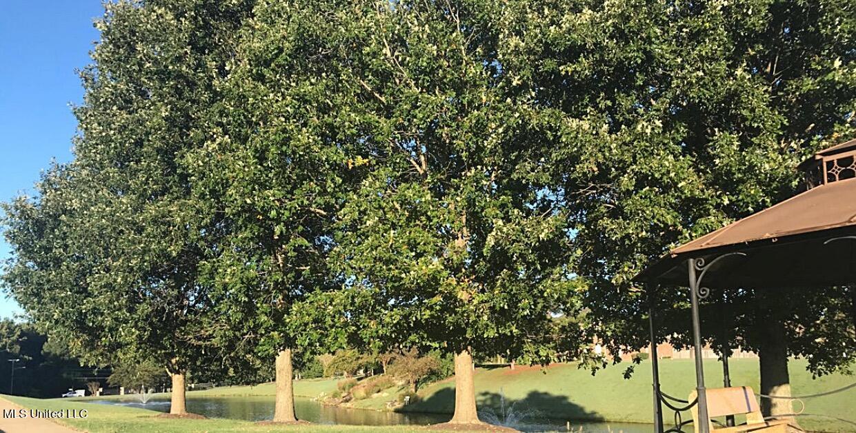 8055 Old Addison Drive Olive Branch, MS 38654 - Photo 6 of 6 IMG_9108