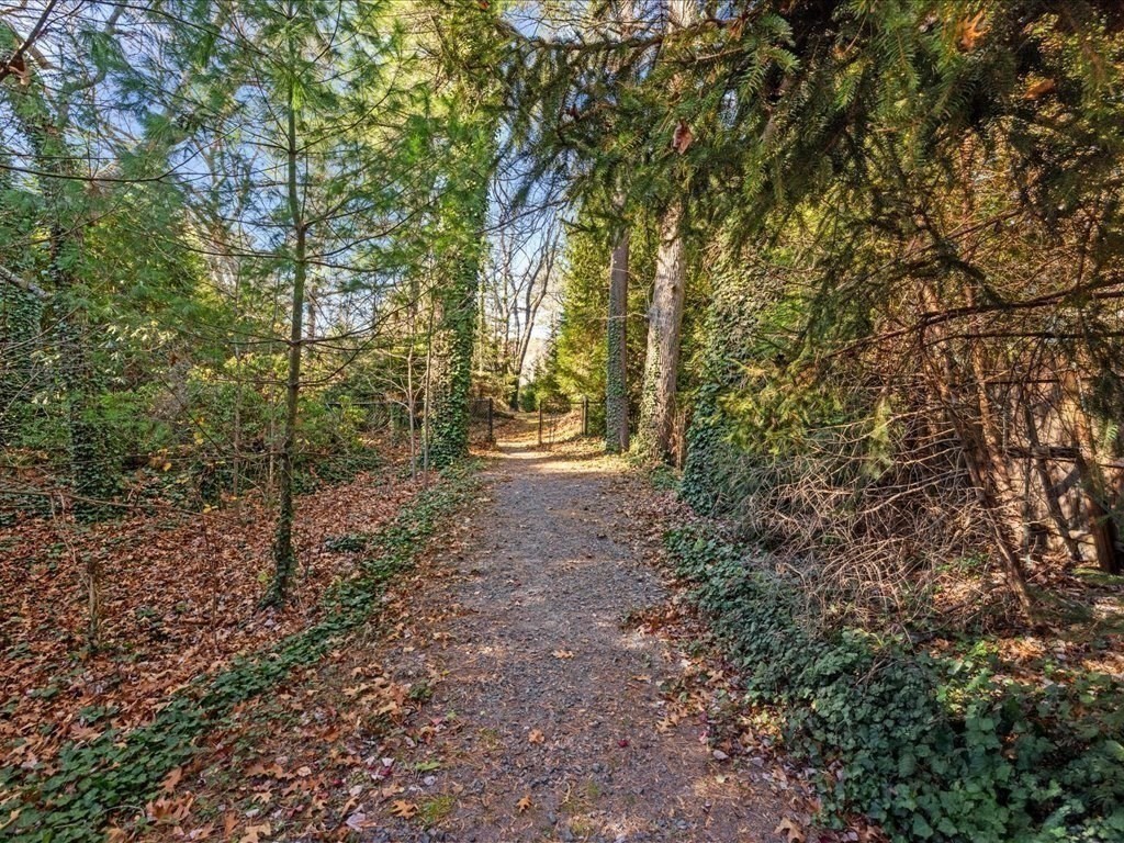 15 Cushing Hill Road Hanover, MA 02339 - Photo 39 of 42 a view of a forest with trees