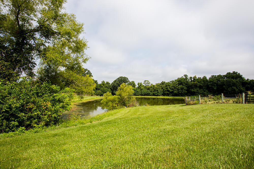 327 Collins Road Paris, KY 40361 - Photo 19 of 73 1F9A6103